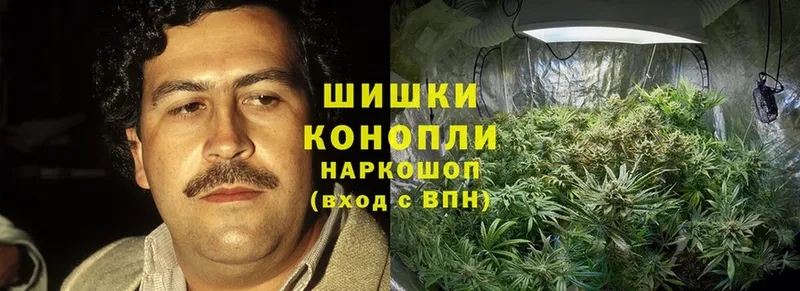 Каннабис OG Kush  Калач 